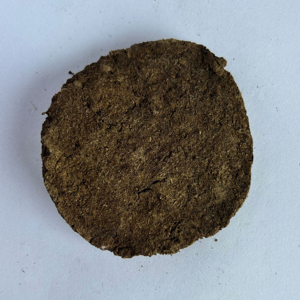 Cow dung cakes (Pack of 10)
